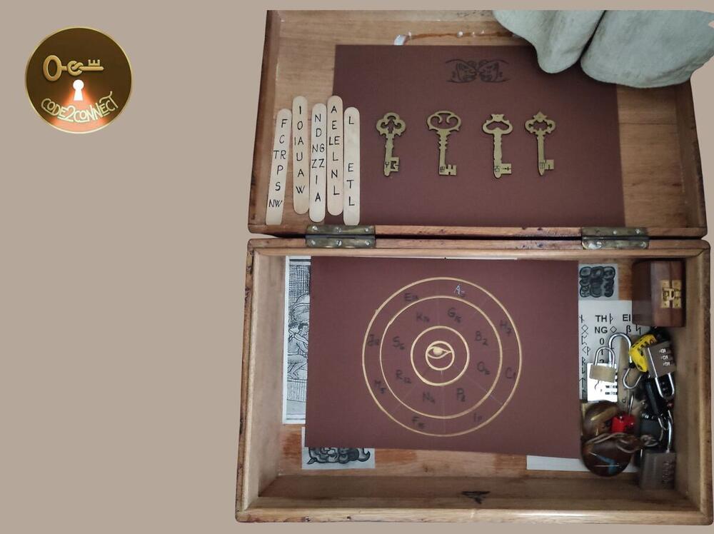 Proiect Code2Connect 12